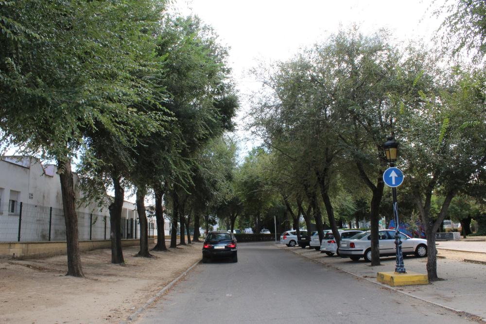 Imagen El Ayuntamiento aprueba nuevo nomenclátor de varias calles de la ciudad