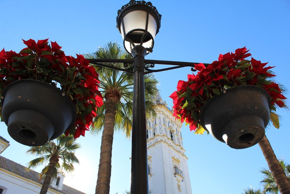 Imagen La Palma instalará un mercadillo medieval navideño este fin de semana.