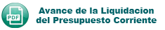 Avance de la Liquidación del Presupuesto Corriente
