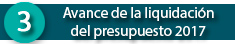 Avance de la Liquidación del Presupuesto Corriente