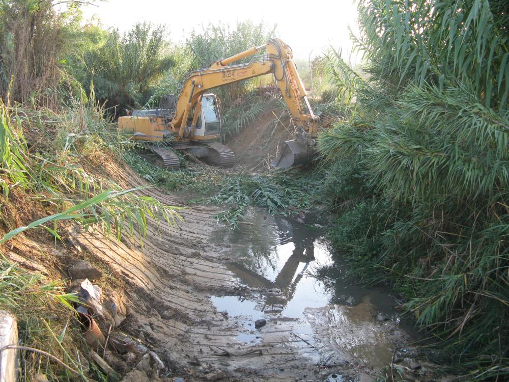 Imagen El Ayuntamiento actuará sobre el arroyo El Saucejo con la mejora de la vegetación de su ribera