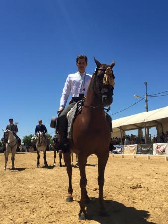 Image Álvaro Teba vuelve a brillar al conseguir un tercer puesto en el Campeonato de Andalucía de Doma Vaquera