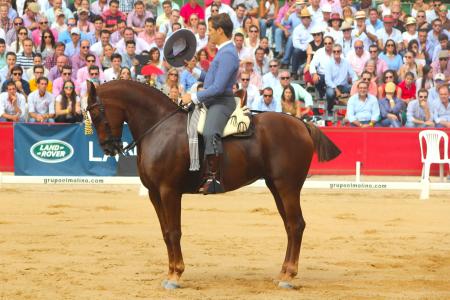 Image Álvaro Teba bronce en el XLIV Campeonato de España de Doma Vaquera