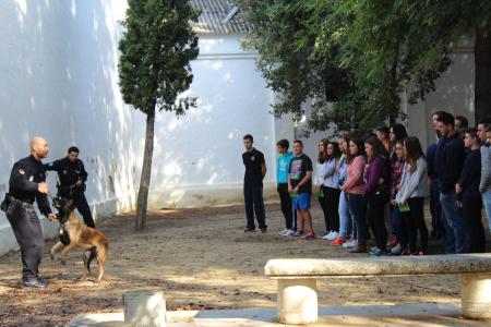 Image La Unidad Canina de la Policía Local acerca a los estudiantes palmerinos su labor.