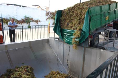 Image Las cooperativas del vino piden ayuda a la Delegación de Agricultura por el daño de la cosecha