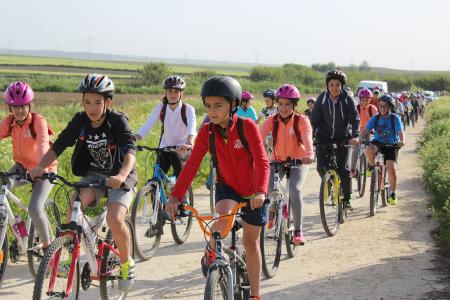 Imagen El alumnado palmerino se vuelca en la celebración del Día de la Bici