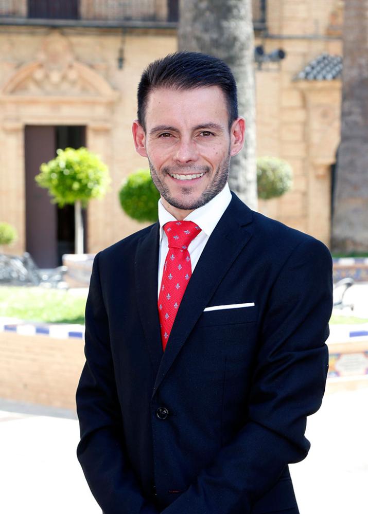 Imagen Sr. Don Alejandro Pérez Millán 