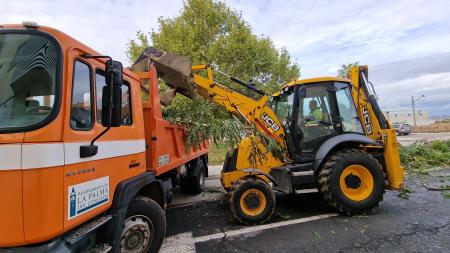 Image Servicios municipales retiran árboles y ramas caídas tras el temporal