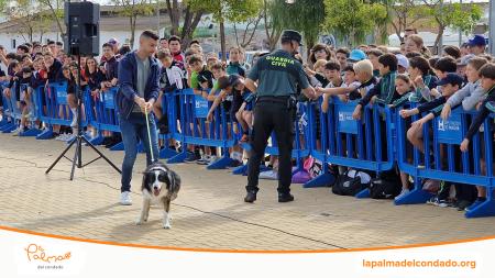 Image La Guardia Civil muestra sus efectivos a los escolares palmerinos