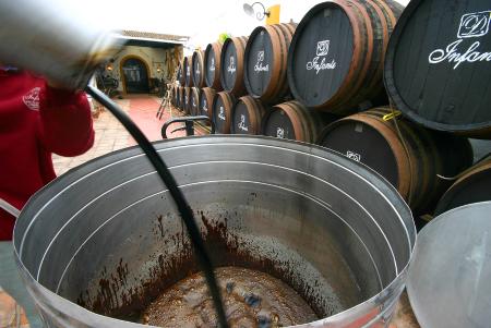 0.1 i bodega Infante