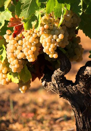 0.01a (2)