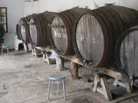 0.5 bodega Teba