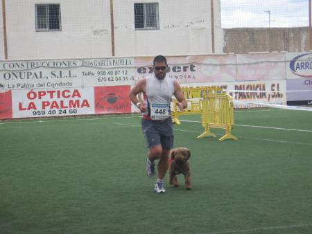 448 PERRO