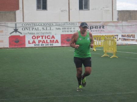 zsin dorsal camis verde