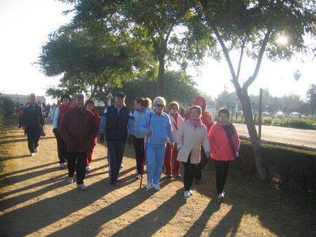 Untitled-29