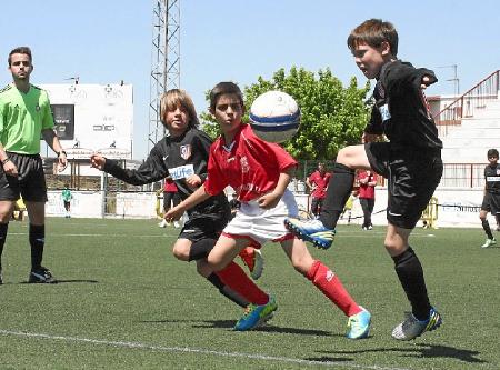Imagen Alto nivel deportivo y elevada participación en el Torneo Exhibición de Fútbol José Sánchez Castizo de La Palma