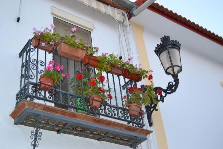 Imagen El Ayuntamiento convoca un concurso de patios, rejas y balcones