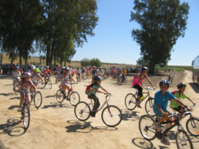 Imagen Gran celebración del Día de la Bicicleta