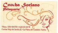 Imagen concha soriano